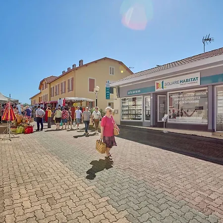 Lägenhet Confort, Proche Thermes, Wifi, Animal Accepte - Fr-1-841-44 *