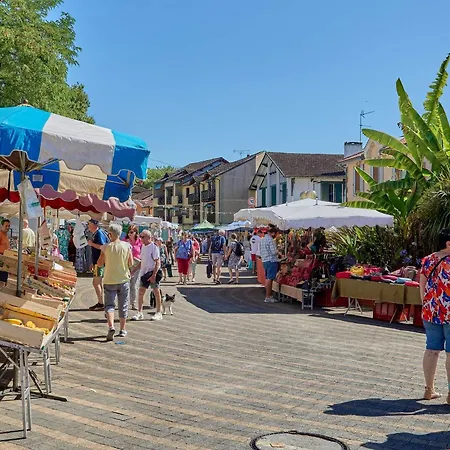 Confortable Près Des Thermes - Animaux Admis, Parking, Wifi - Fr-1-841-44 Appartement Barbotan-les-Thermes